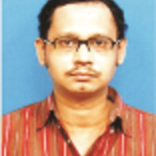 AMITAVA BOSE's profile picture