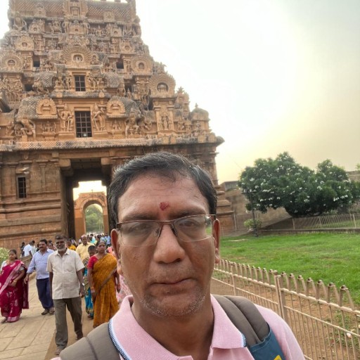 Vijayraghavan Bheema's profile picture