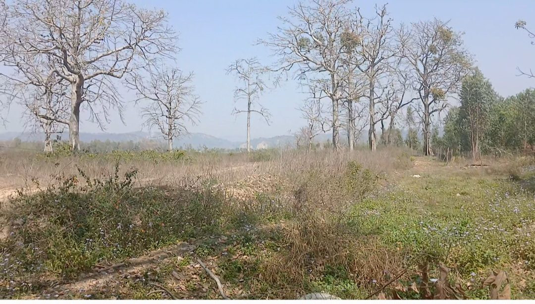 Farm land for sale in Almora