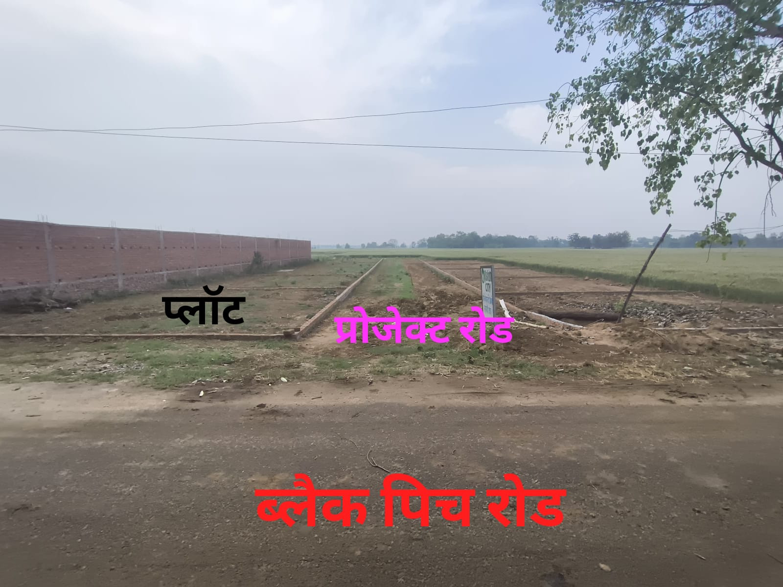 Open Area, 20 feet Branch Road 40 feet Main Road Old Aurangabad Bihta Highway, Near IIT Bihta Patna, BSF Training Camp Located In South Side Form Our Plot.