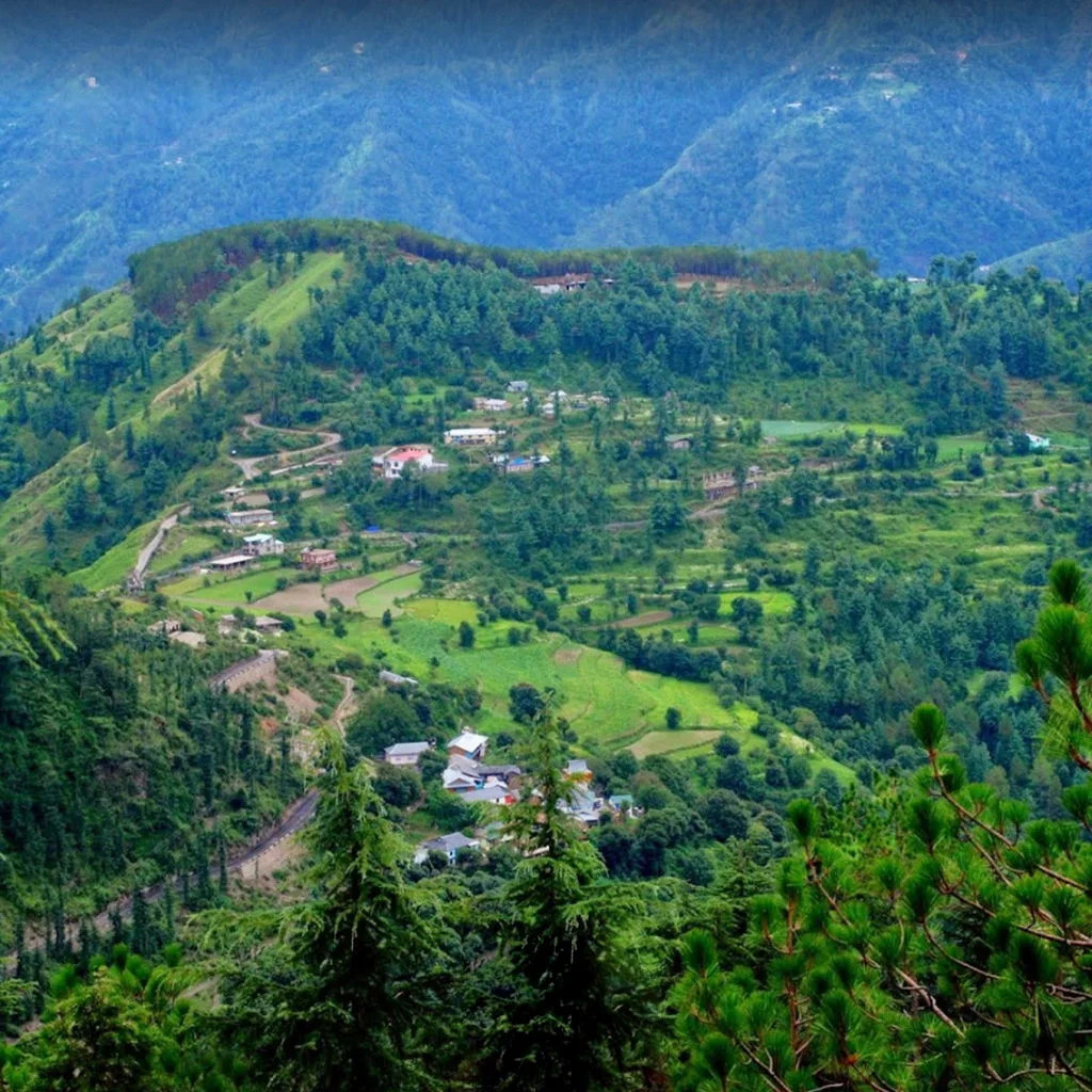 view