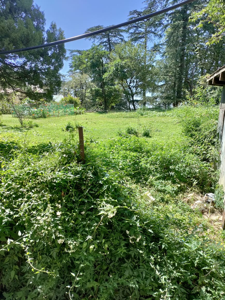 project_img4