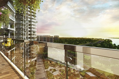 Balcony View