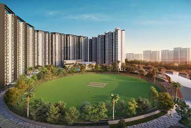 Cricket Pitch