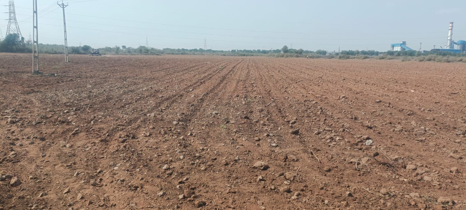 Farm land in Mundra — hero photo