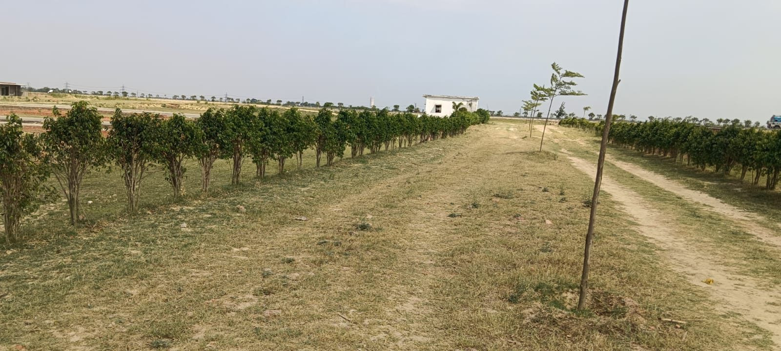 Residential plot in Kushinagar — hero photo