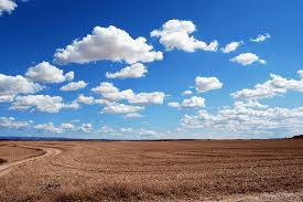 Commercial Plots at Viman Nagar, Gajuwaka | Starts @15 Cr/Acre*