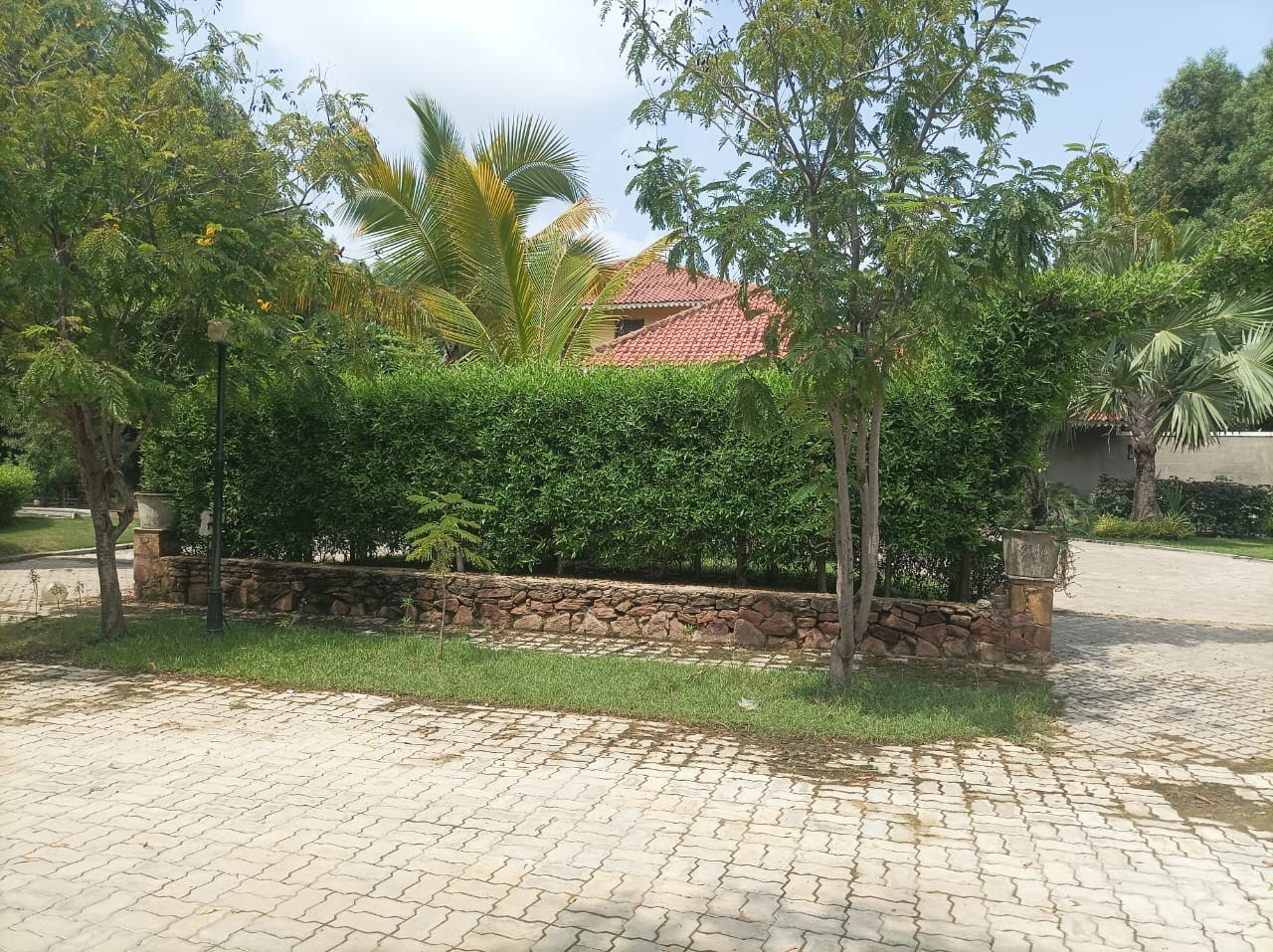 project_img2