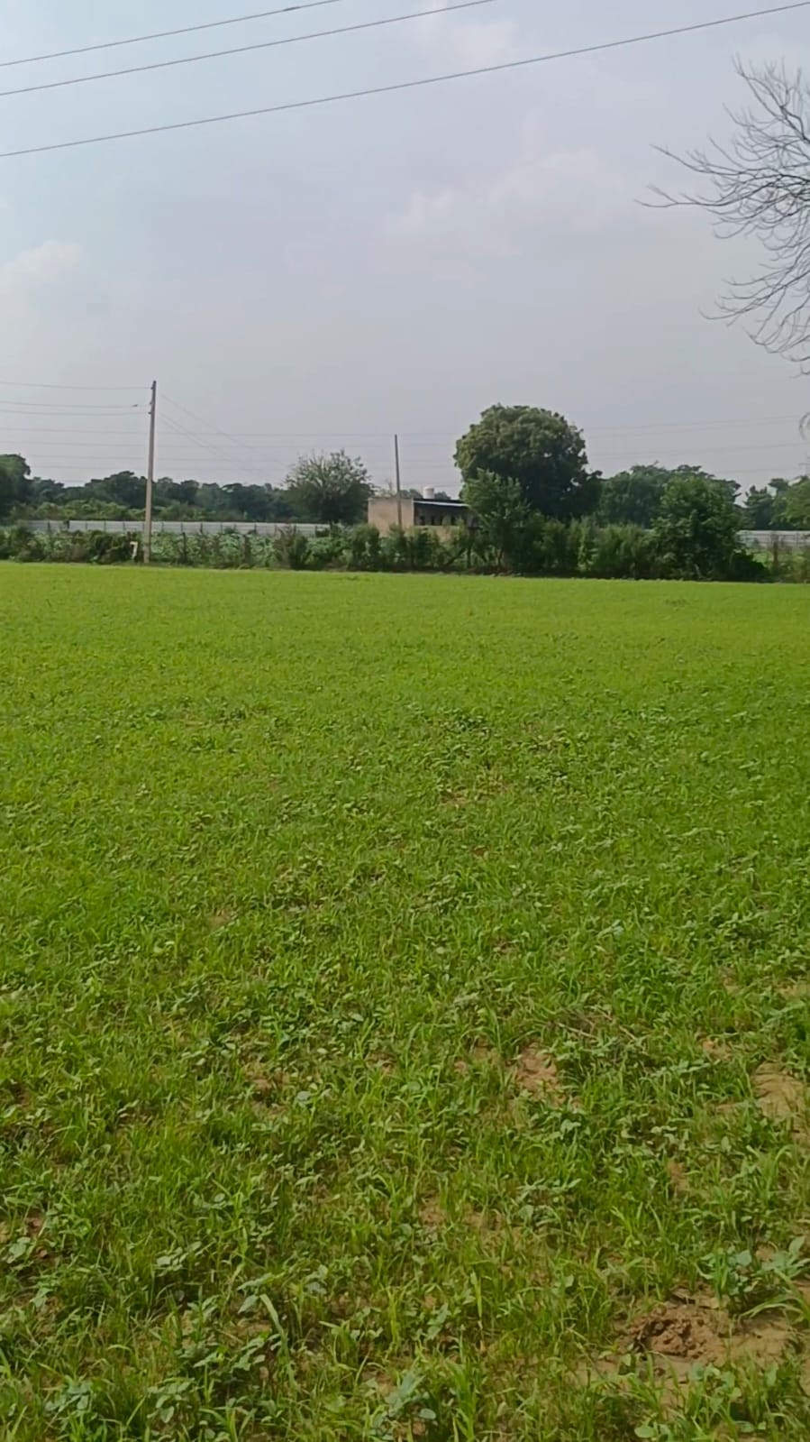 1.75 Acre Land in Sector 70 Gurugram