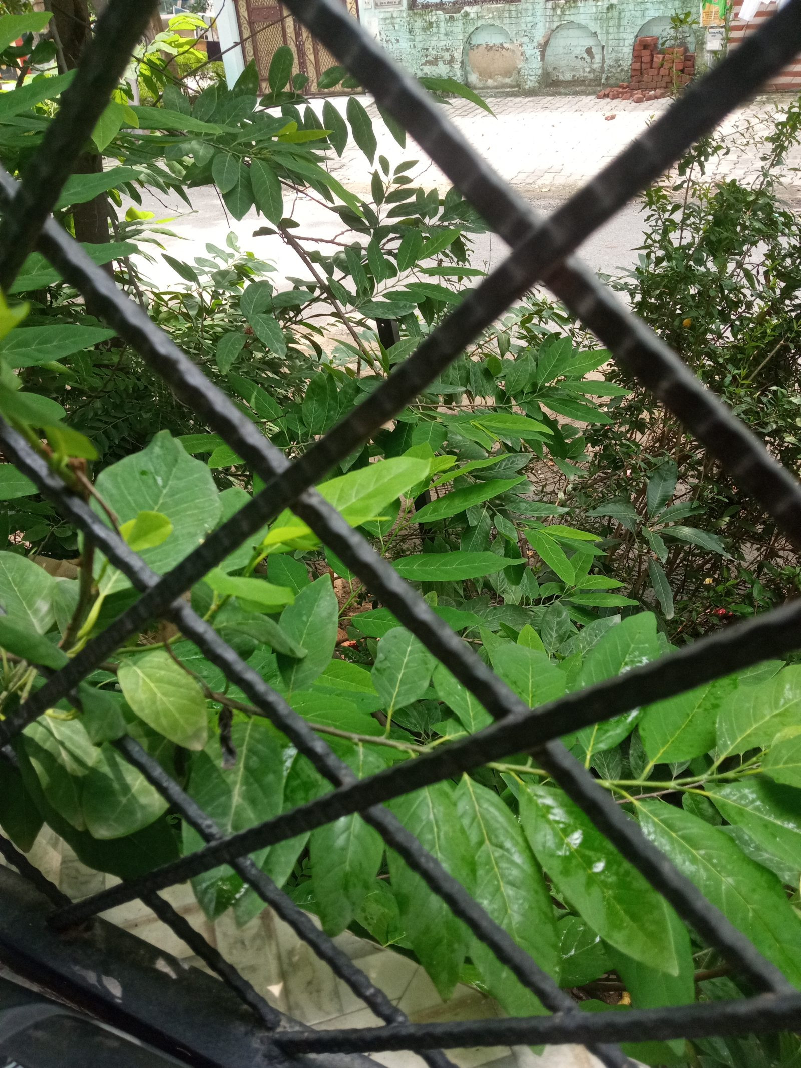 Residential plot in Sector 130, Noida — hero photo