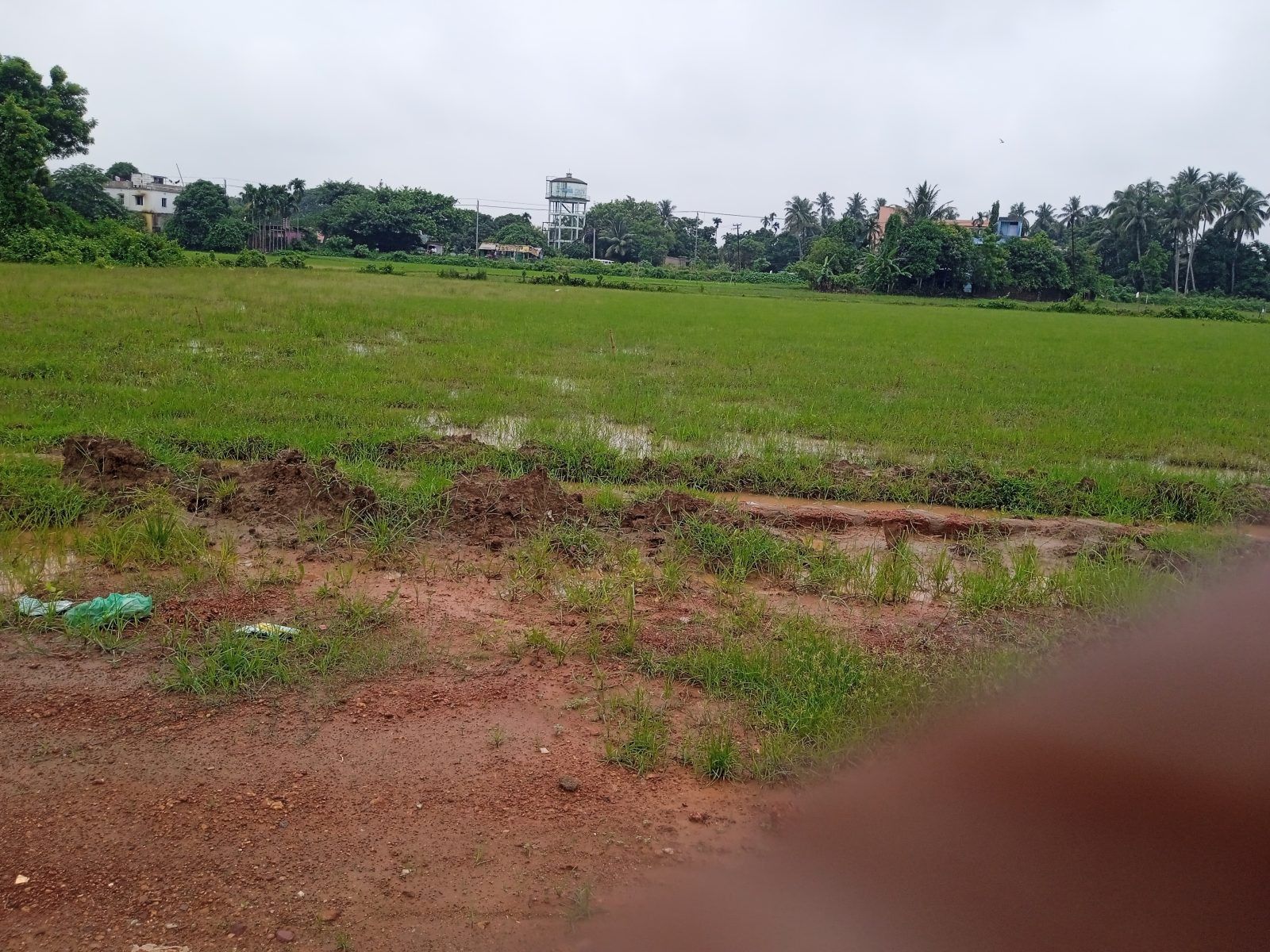 Residential plot in Bhubaneswar — hero photo