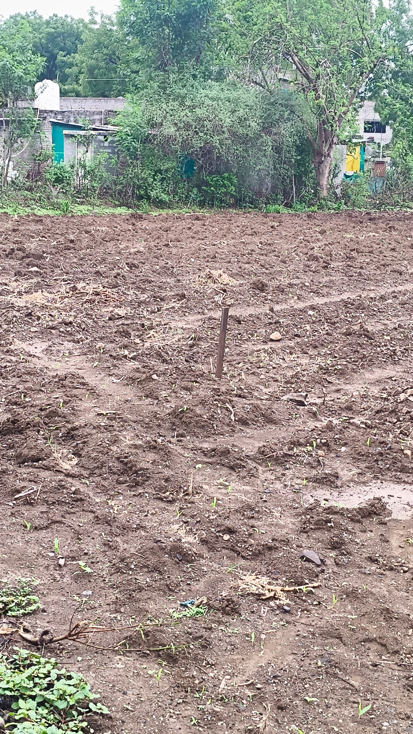 Farm house in Aurangabad — hero photo