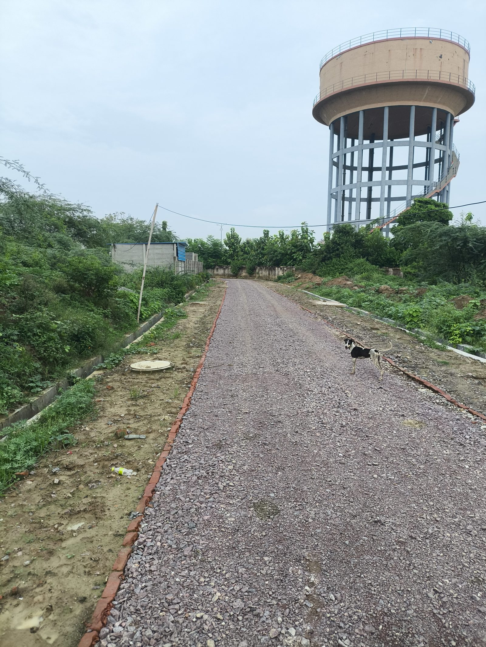 Residential plot for sale in Lucknow, Lucknow Division
