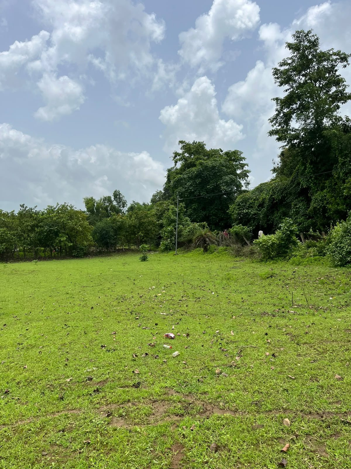 Residential plot in Taluka Vikramgad — hero photo