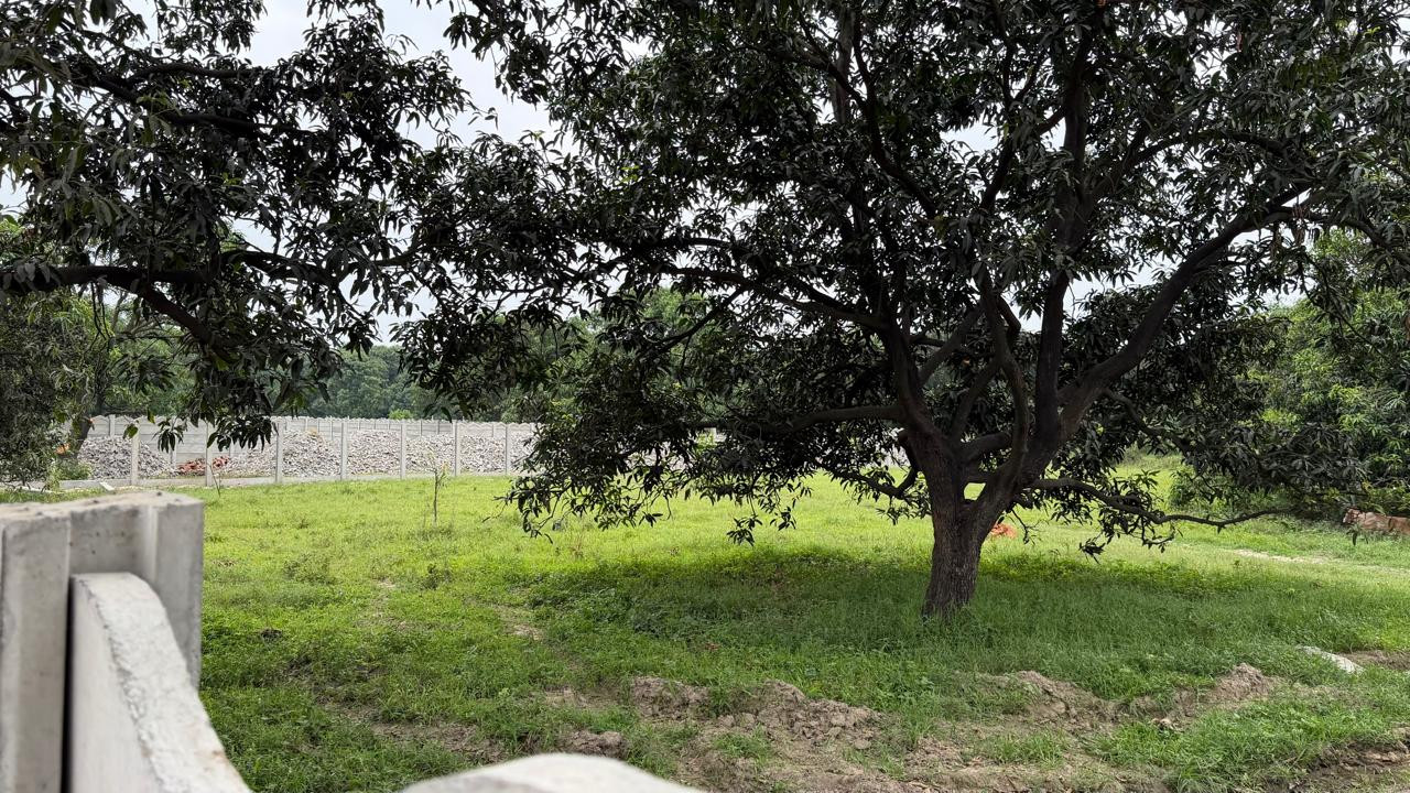Farm house in Yamuna Expressway, Greater Noida — photo 4