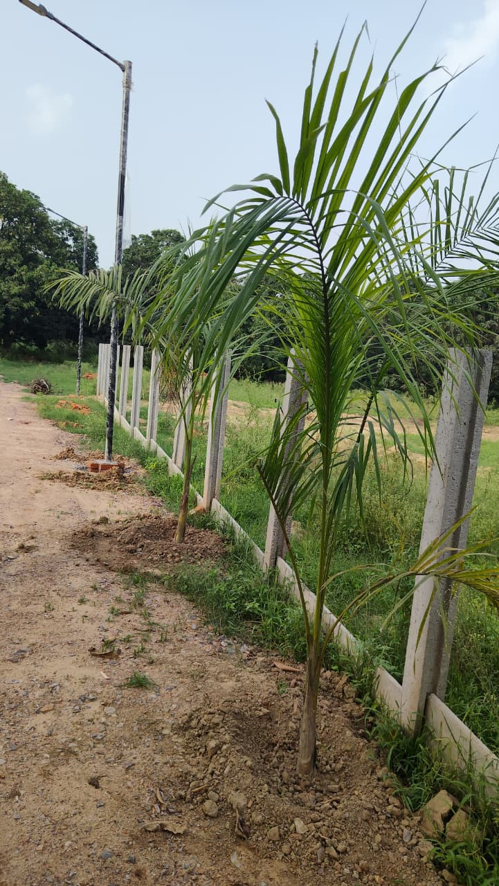 Farm house in Yamuna Expressway, Greater Noida — photo 5