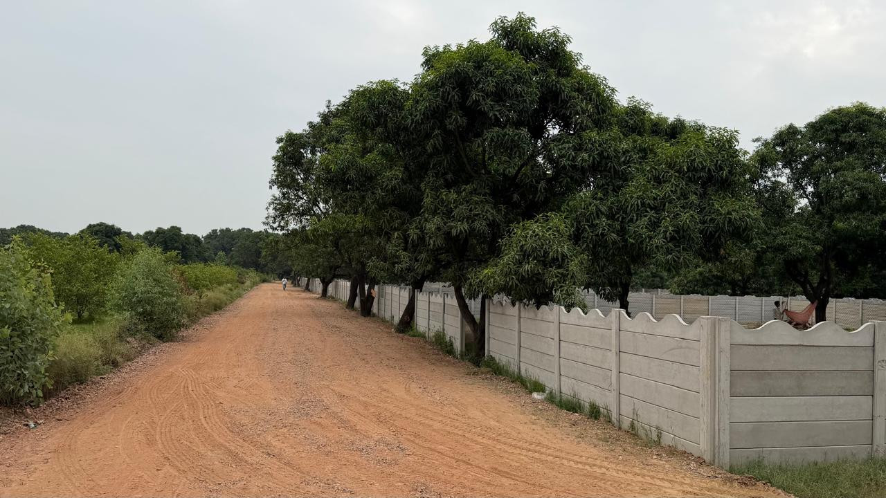 Farm house in Yamuna Expressway, Greater Noida — photo 10