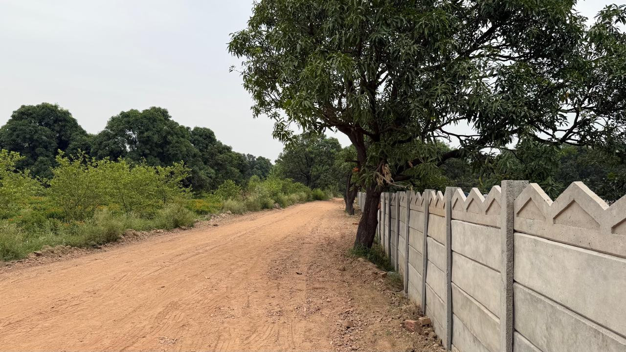 Farm house in Yamuna Expressway, Greater Noida — photo 7