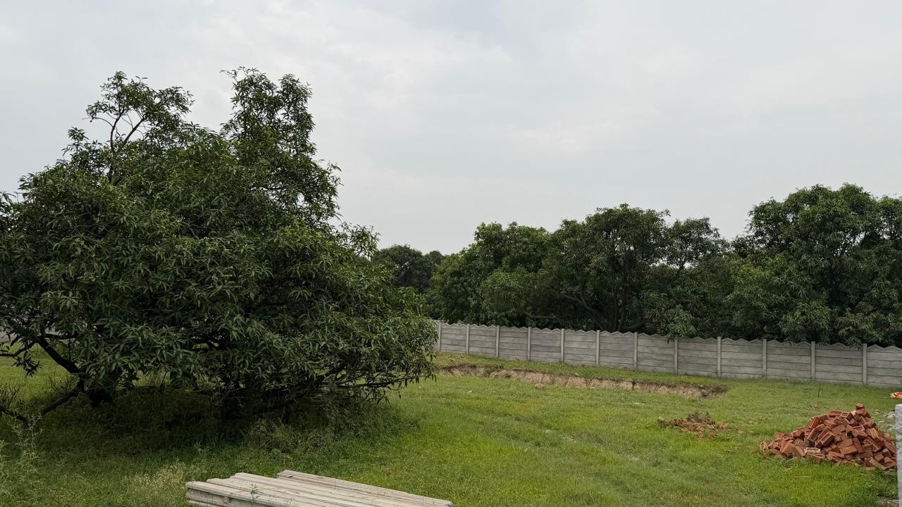 Farm house in Yamuna Expressway, Greater Noida — photo 11