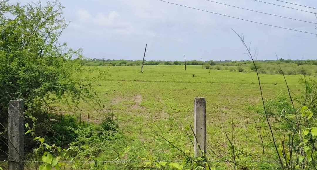 Mixed-use plot in Vangaon — hero photo