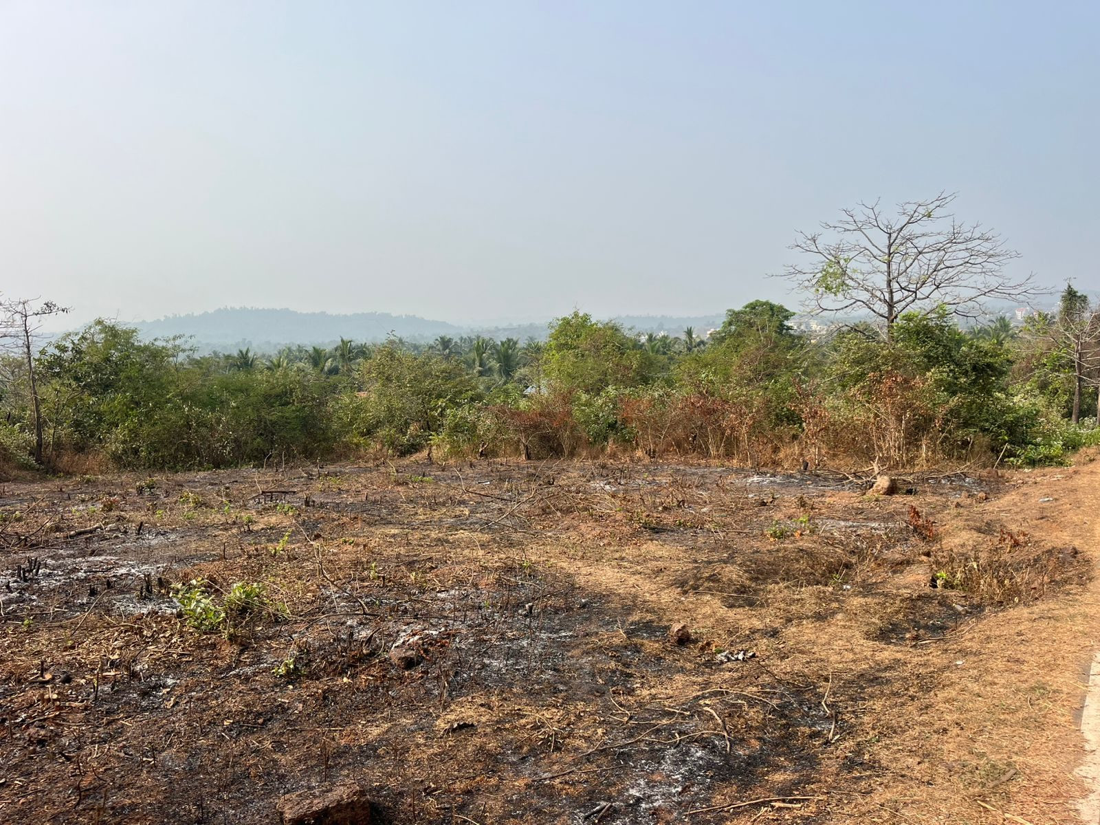 Residential plot for sale in Old Goa, Goa