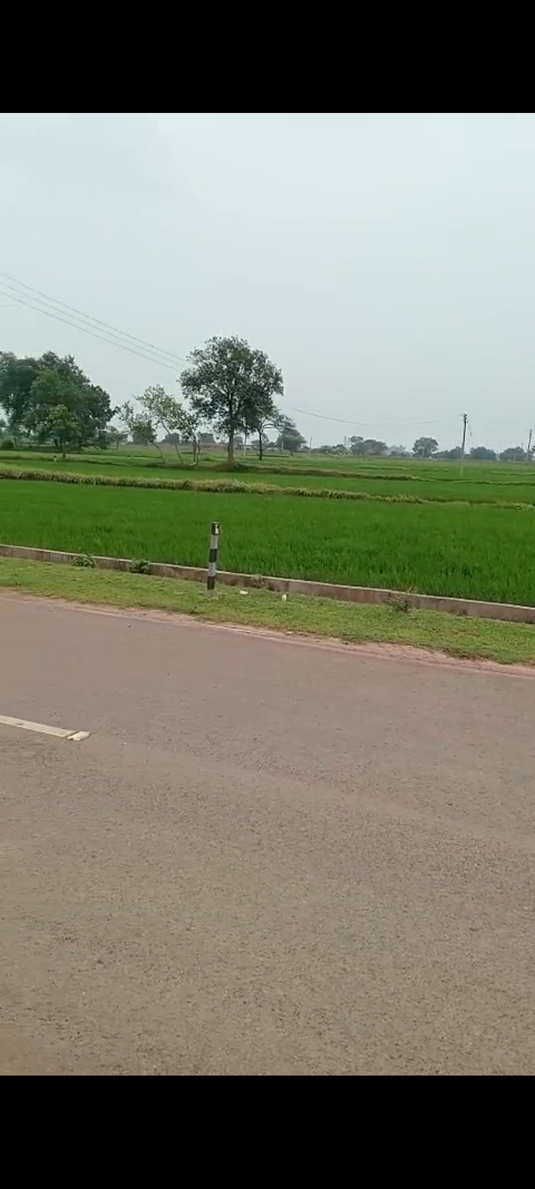 Commercial plot in Jamgaon — hero photo