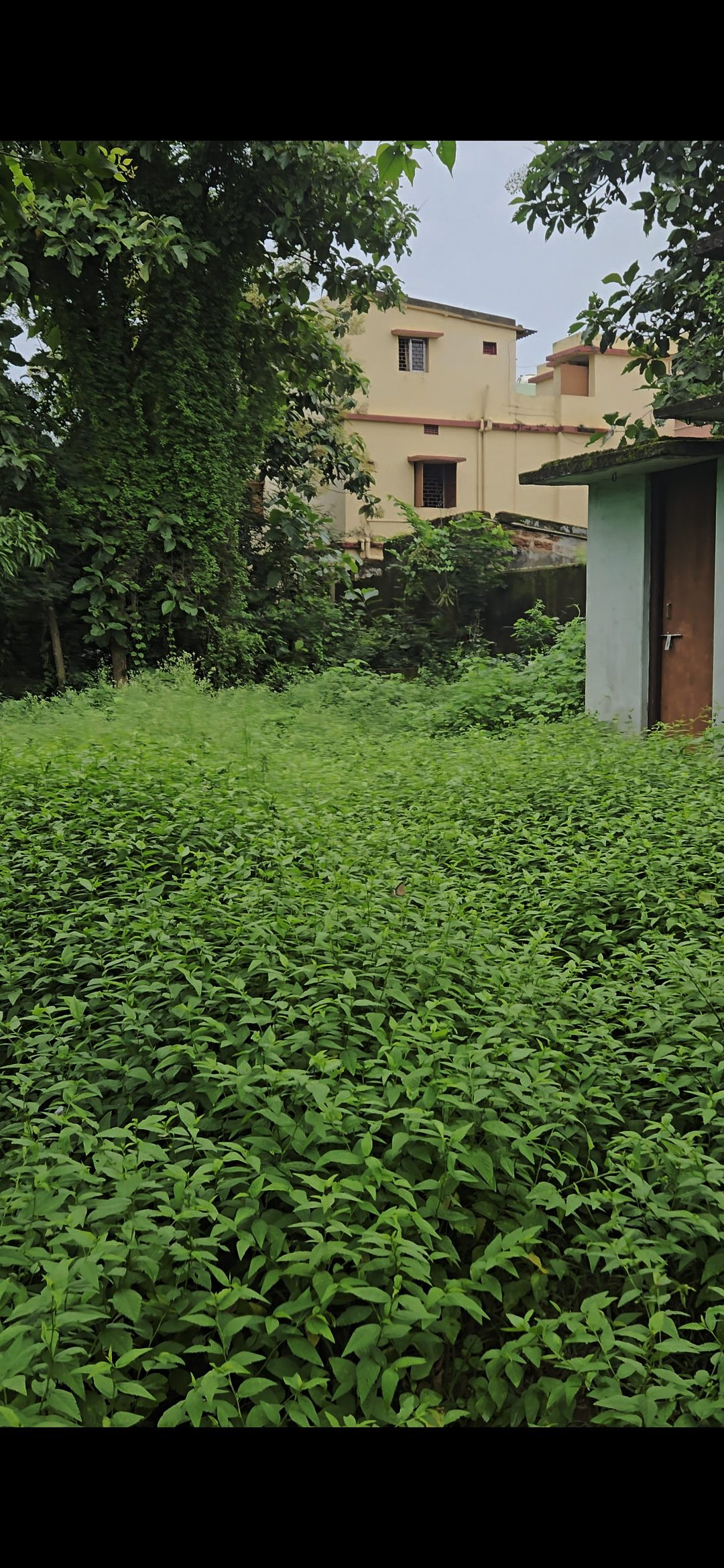 Residential plot in Khordha — hero photo