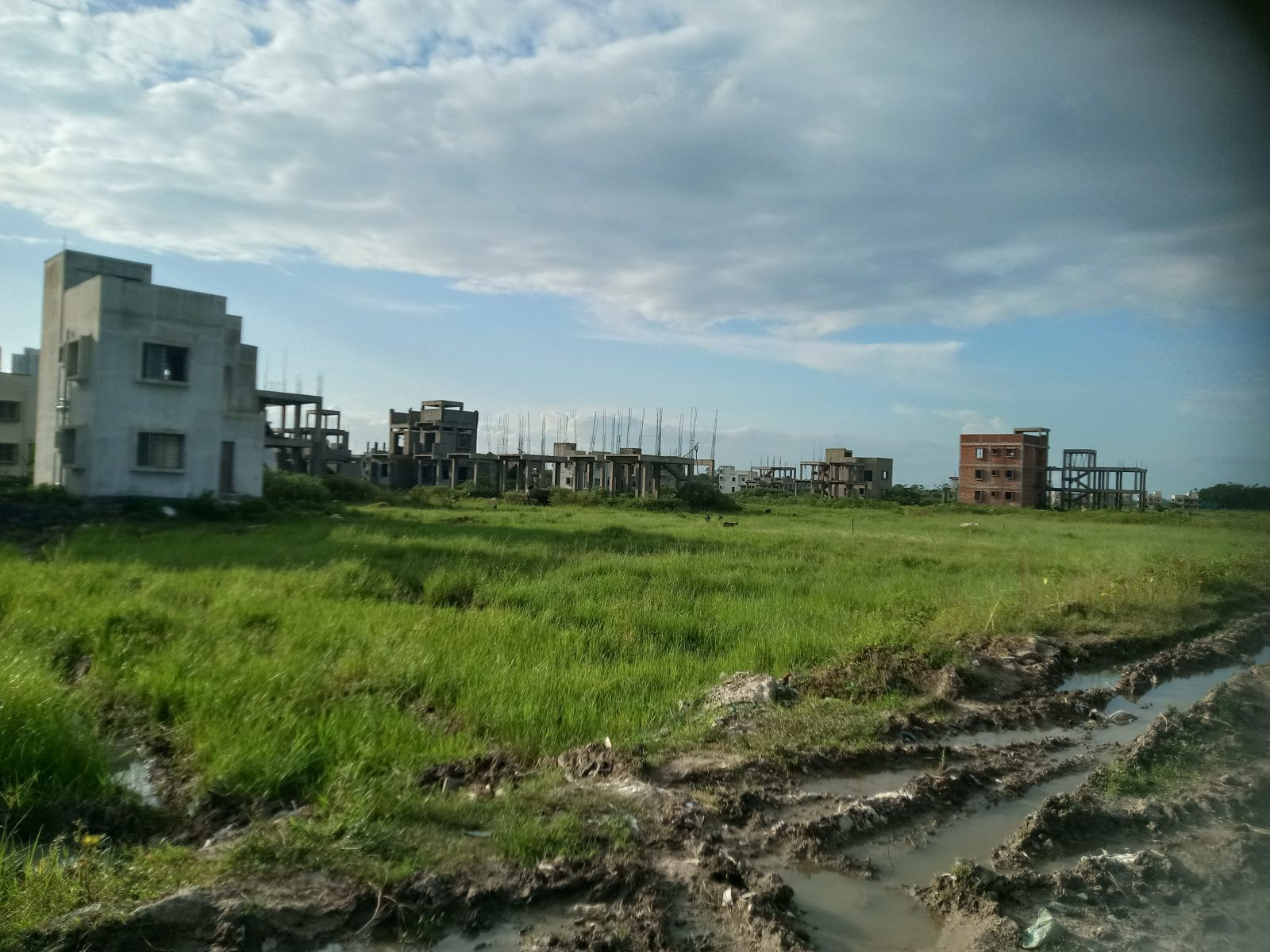 Residential plot in Newtown, Kolkata — hero photo