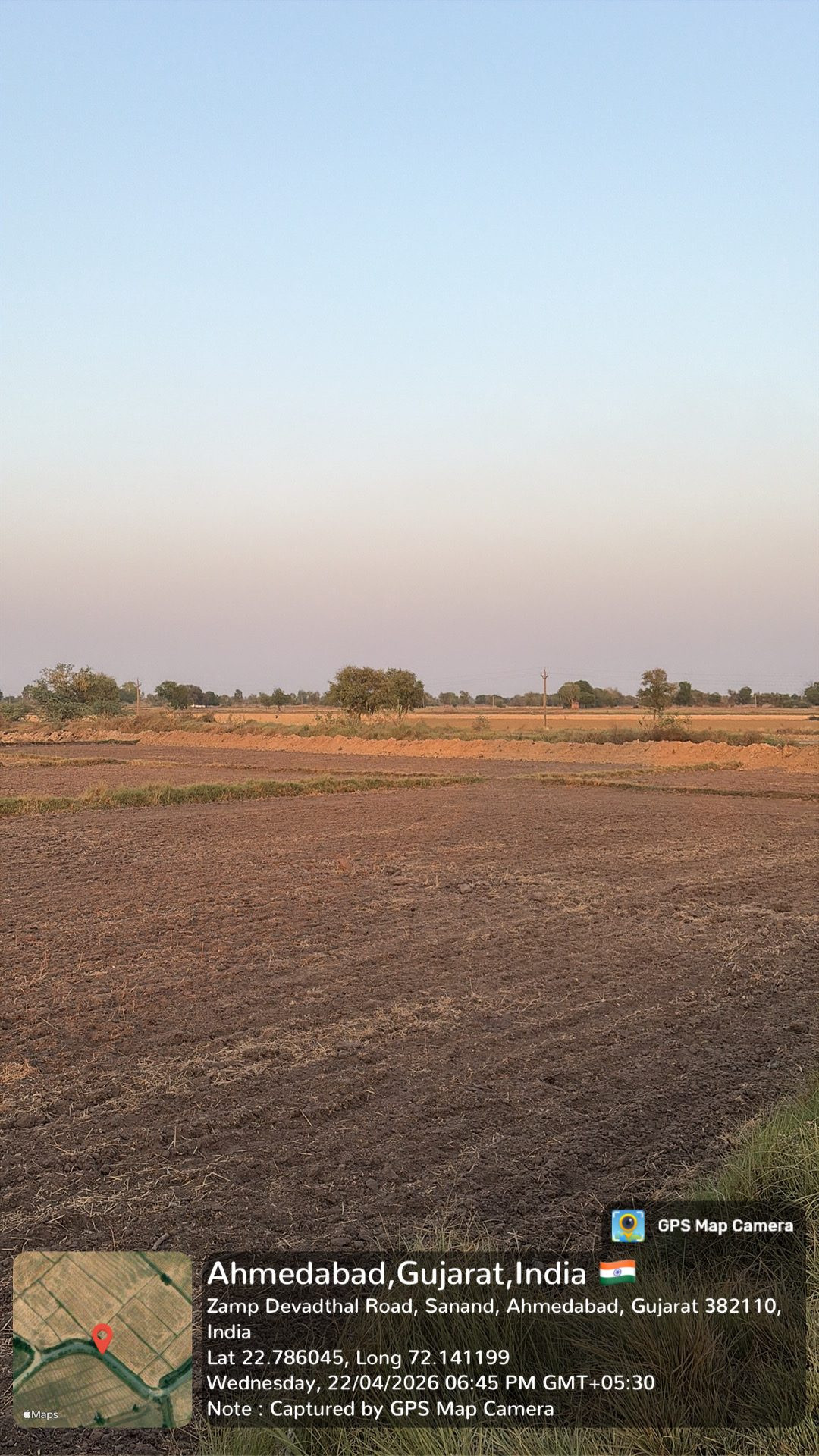 Plantation in Sanand — hero photo