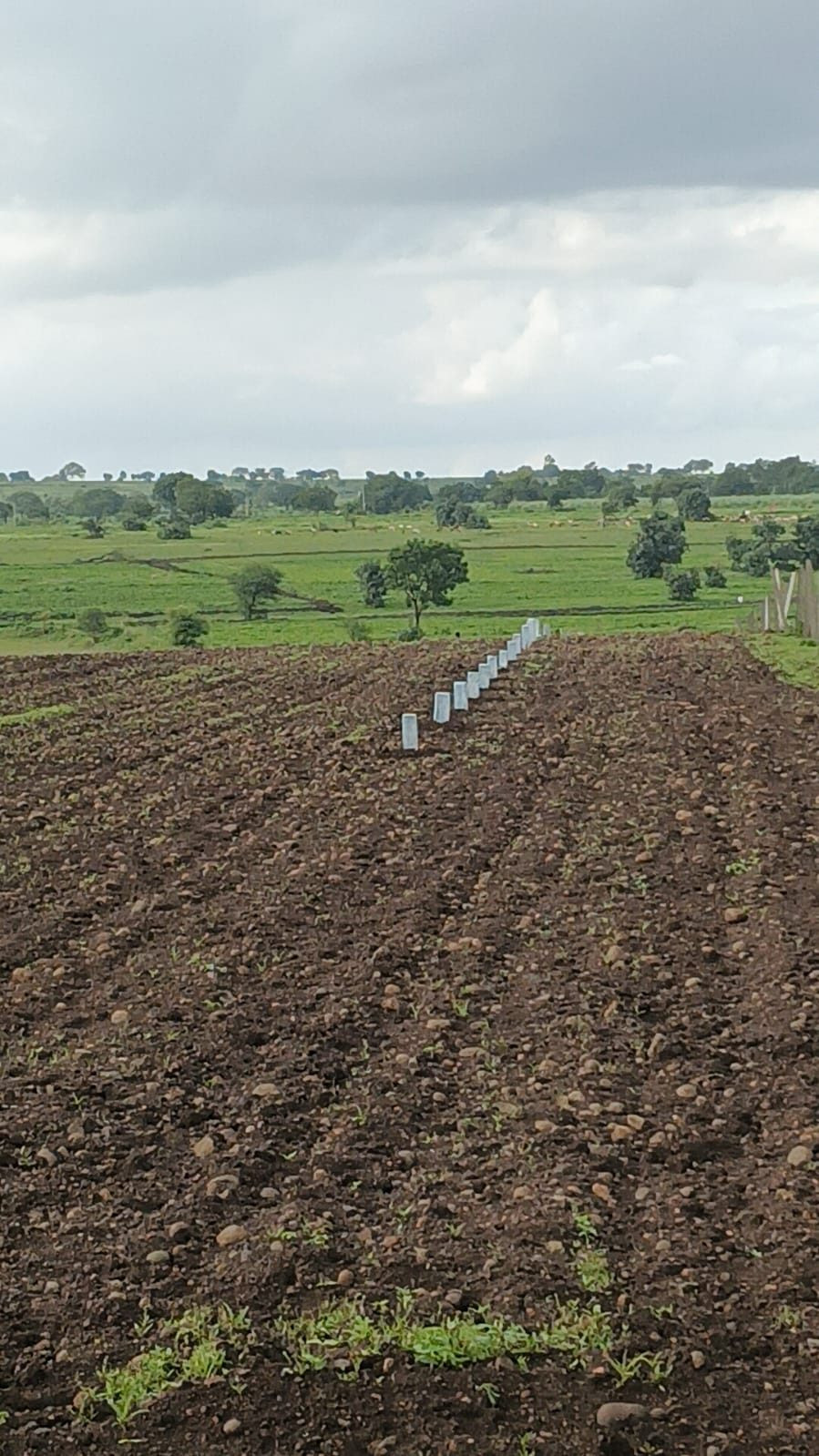 Farm land in Audathpur — hero photo