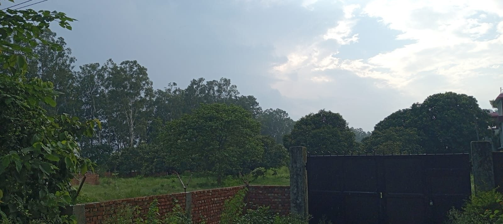 Mixed-use plot in Bail Parao — hero photo