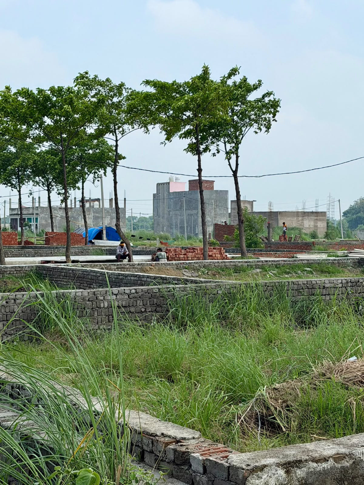 Residential plot in Banthra Sikander Pur — photo 3