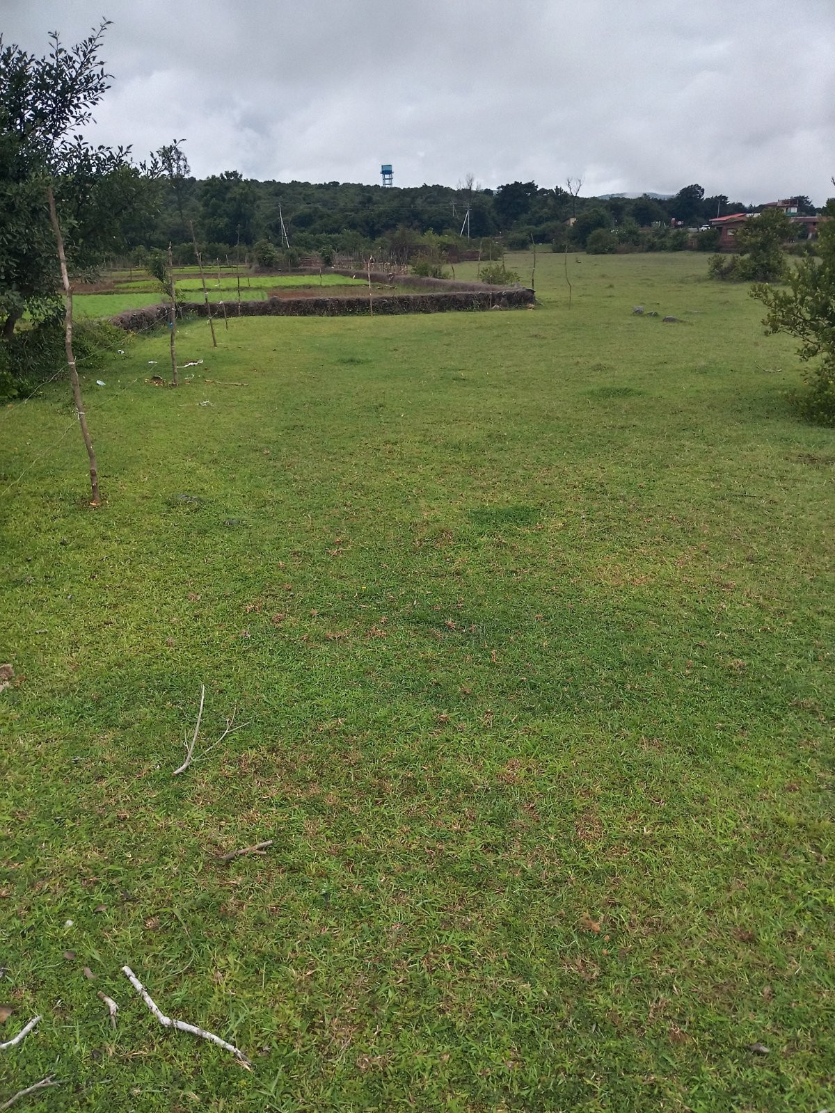 Commercial plot in Amboli, Mumbai — photo 4