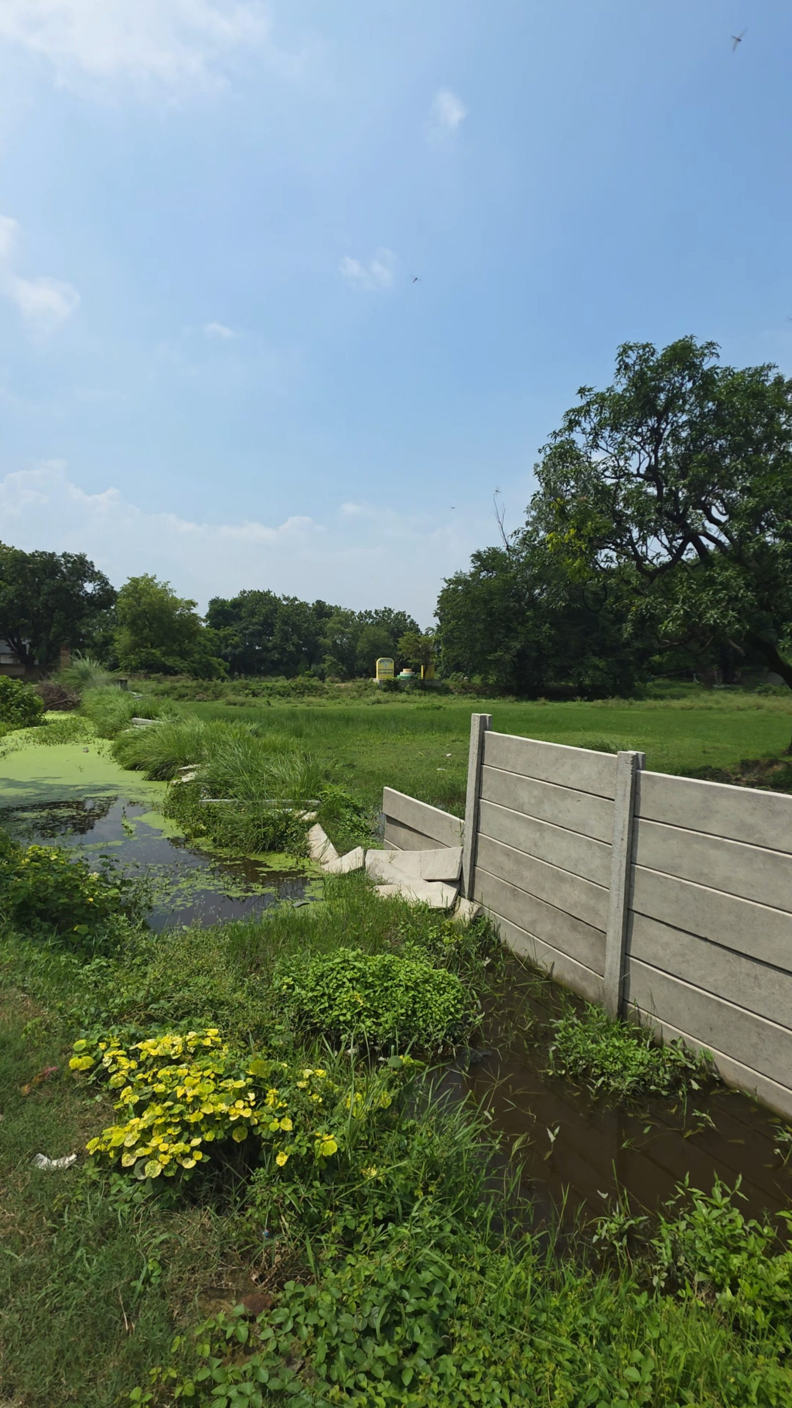 Mixed-use plot in Masaudha, Ayodhya — hero photo