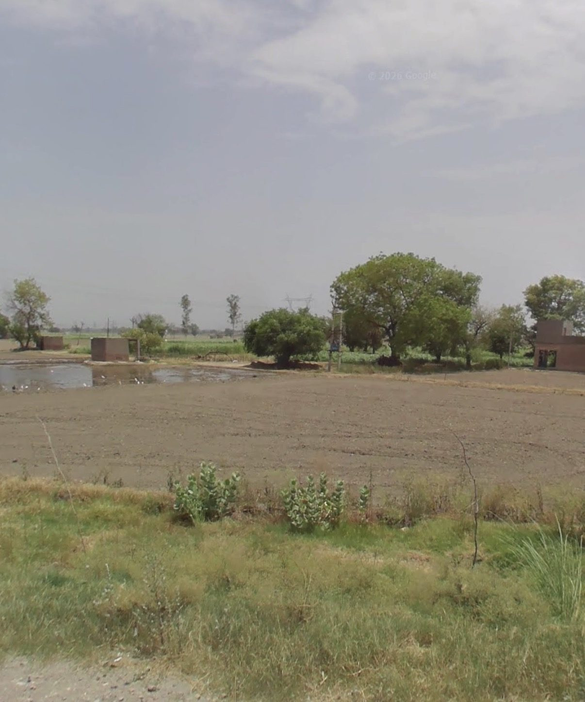 Farm land in Panipat — hero photo