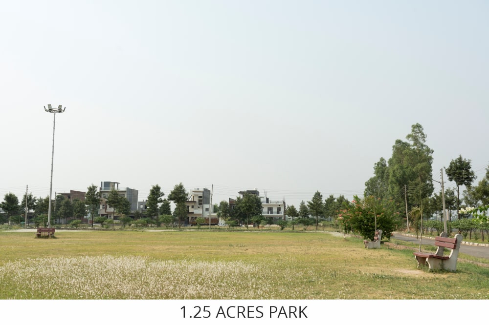 project_img3