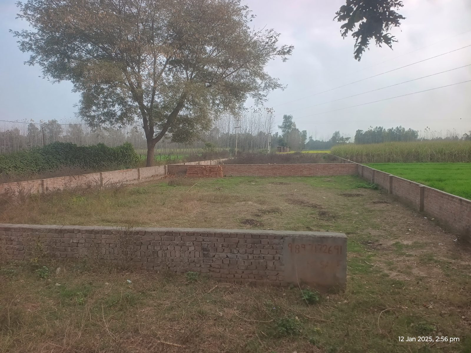 Mixed-use plot in Bareilly — photo 2