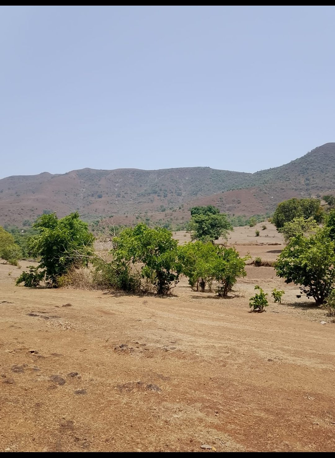 Farm house for sale in Thugaon