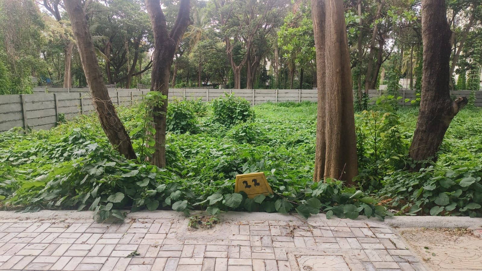 Studio Farm House for sale in Challaghatta, Bengaluru