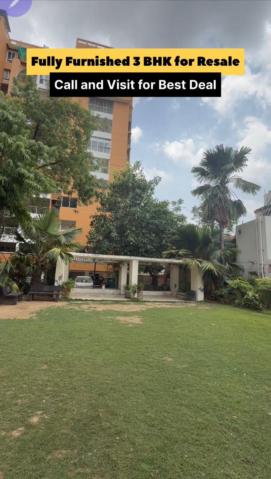 SOCIETY GARDEN
