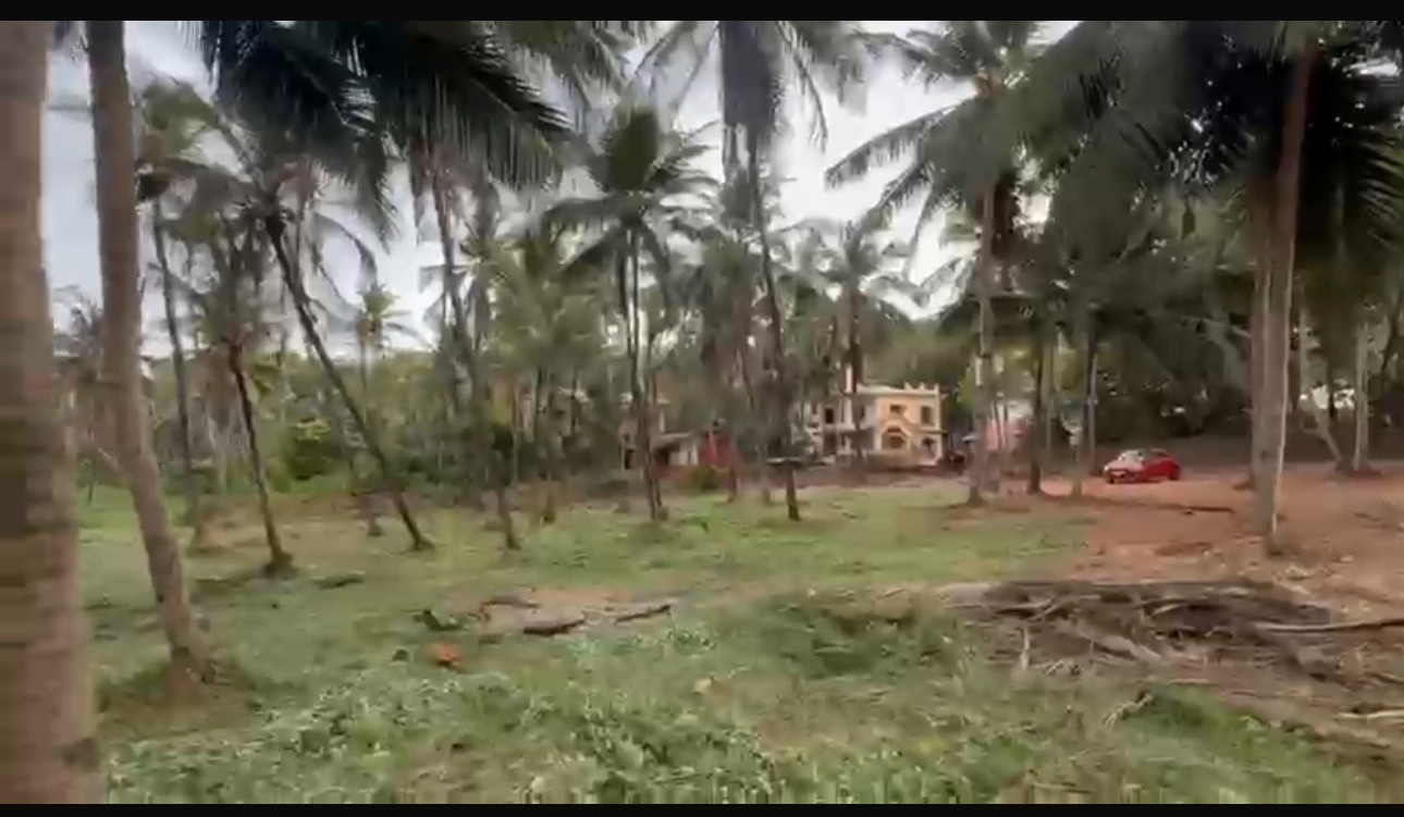 Property for sale at Sancaole goa