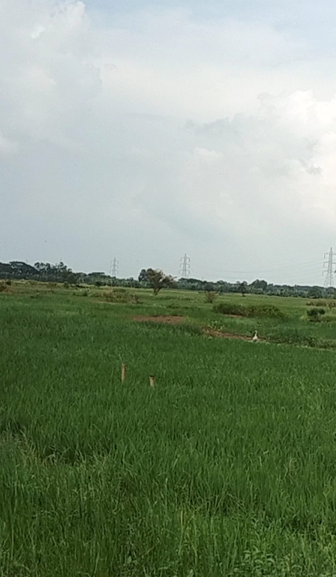 Residential plot for sale in Newtown, Kolkata