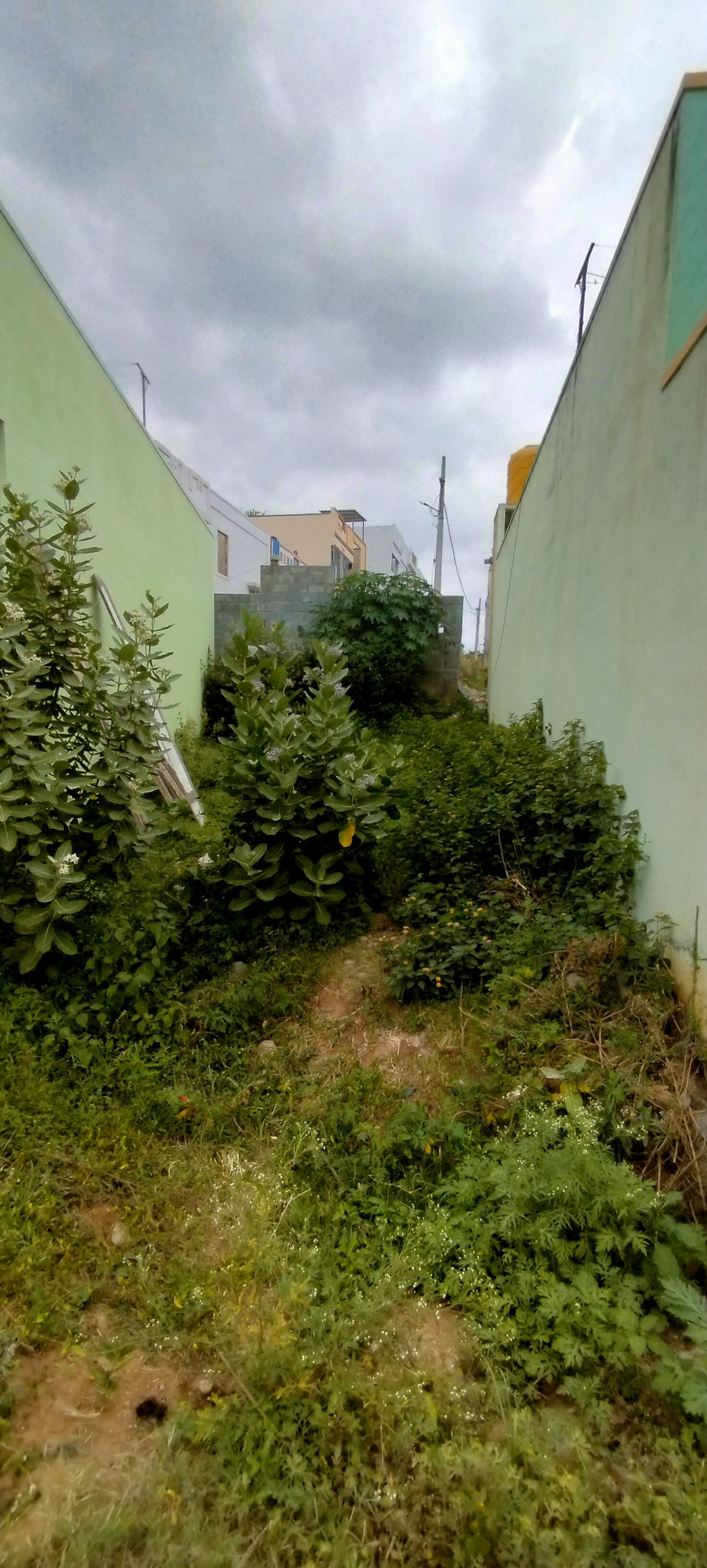 Farm land in Hoskote — hero photo