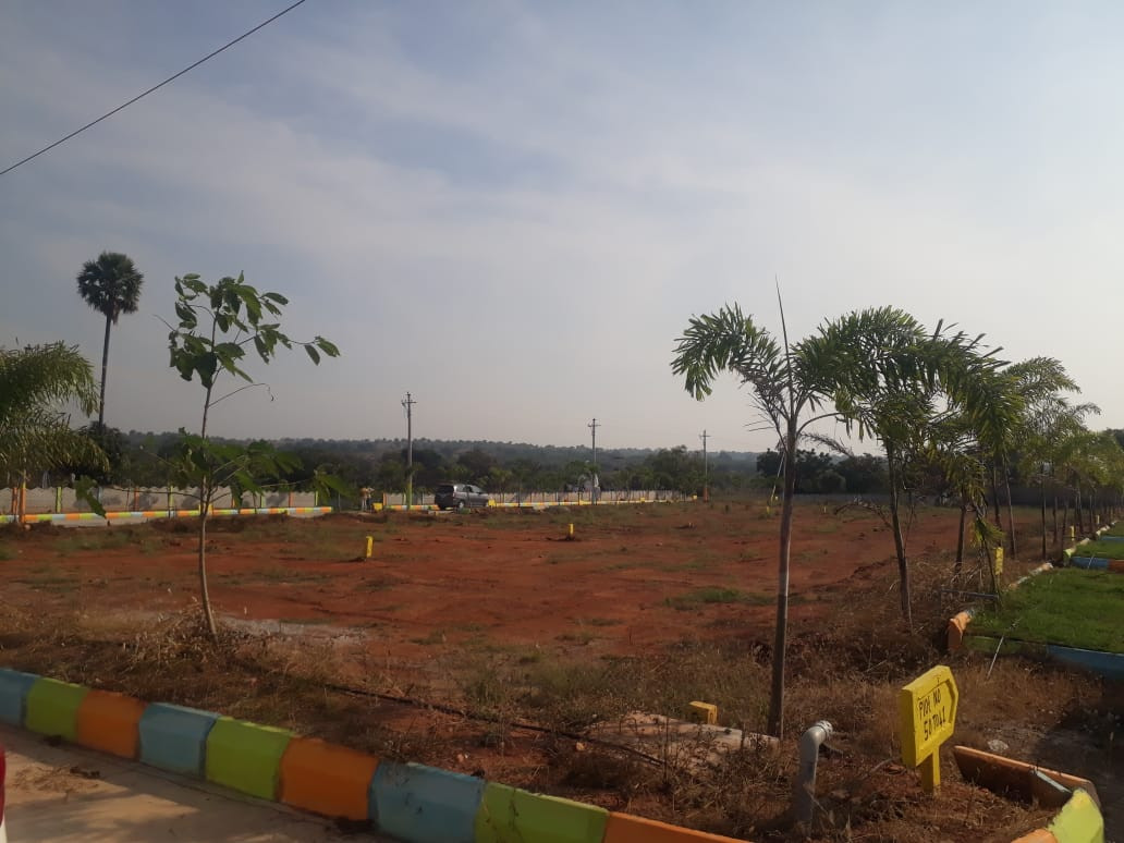 Residential plot in Machepally — photo 8