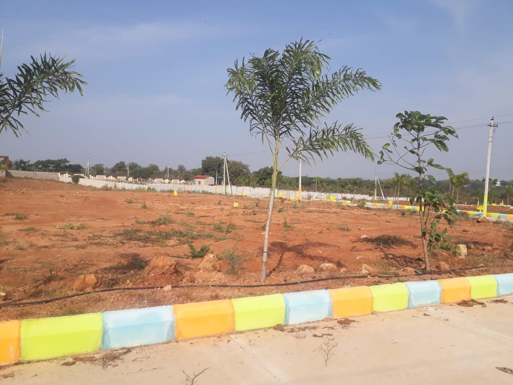Residential plot in Machepally — photo 7