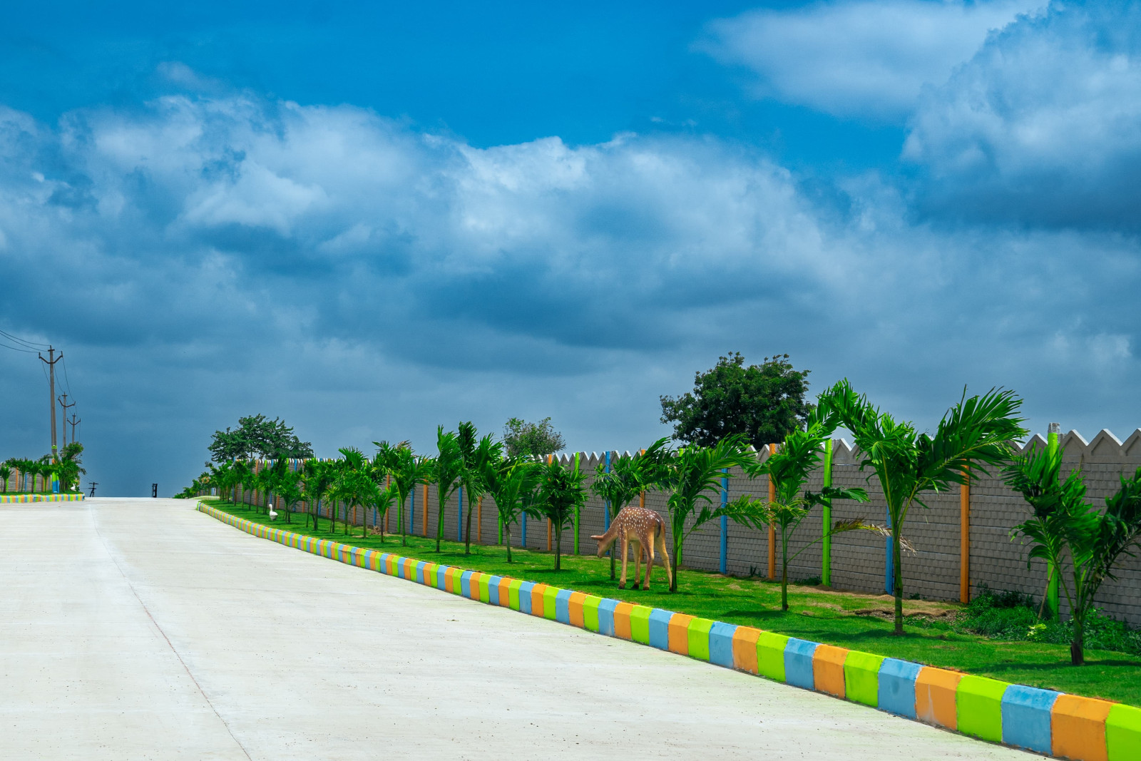 Residential plot in Machepally — photo 2