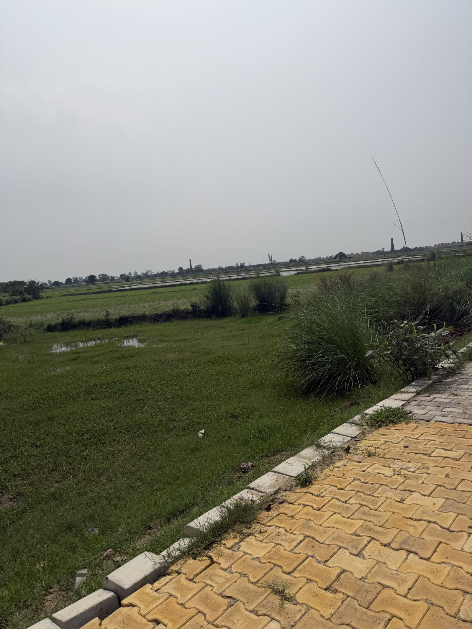Farm land in Haryana, Mathura — hero photo