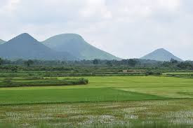 Residential plot in Bharatgarh — photo 2