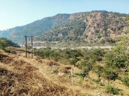 Residential plot in Bharatgarh — photo 4
