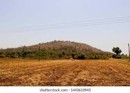 Residential plot in Bharatgarh — photo 3